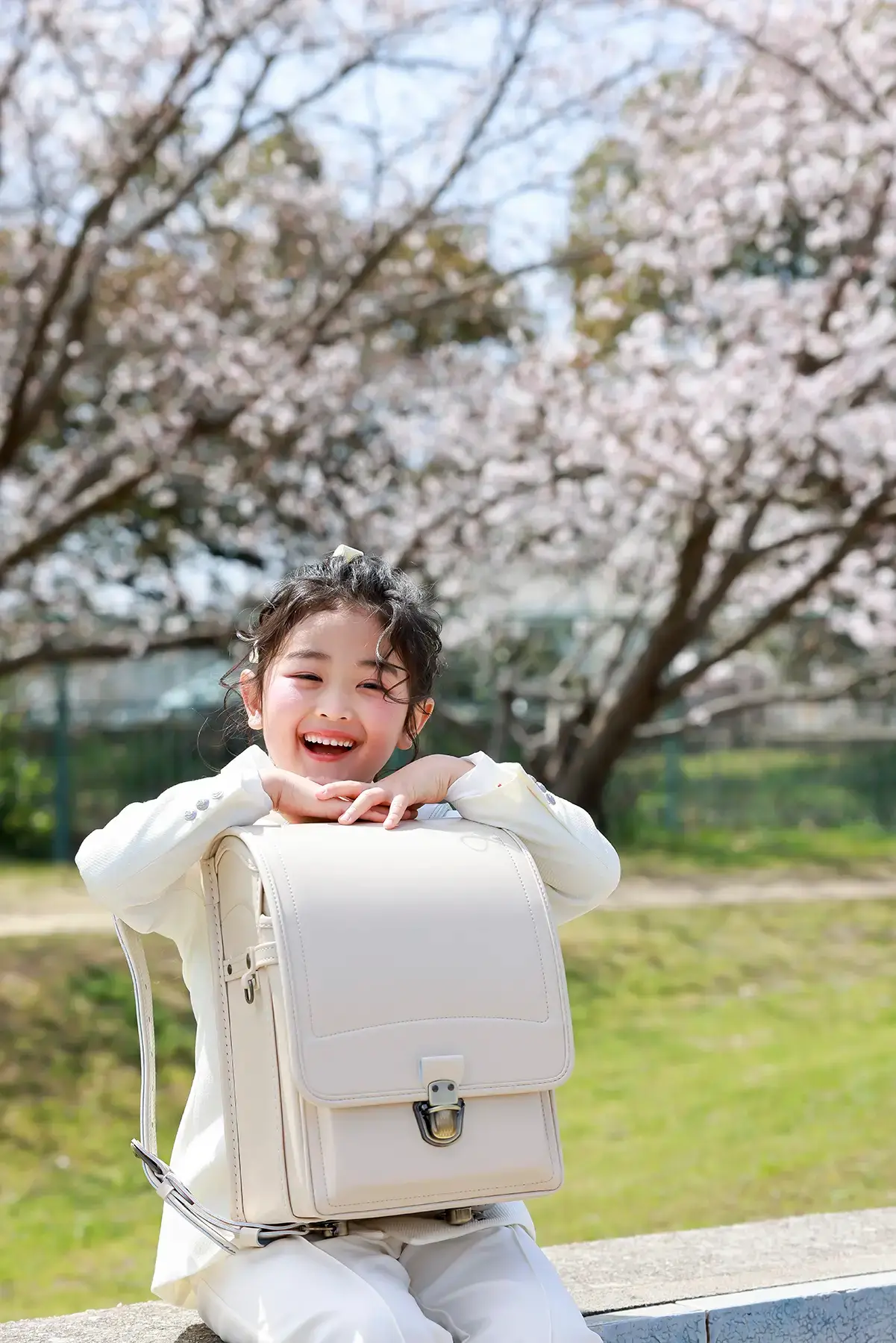 桜の下でランドセルに顔をのせて笑う女の子