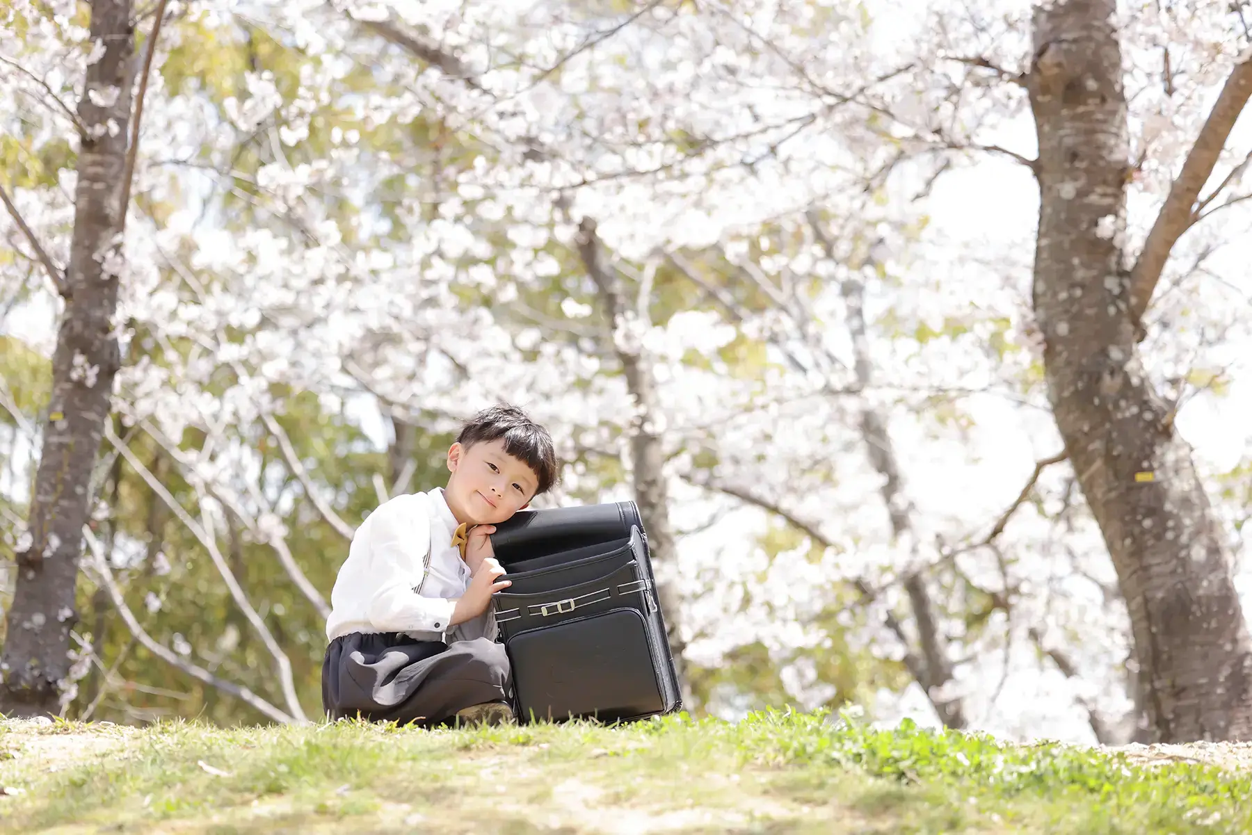満開の桜の木の下でランドセルを抱える男の子