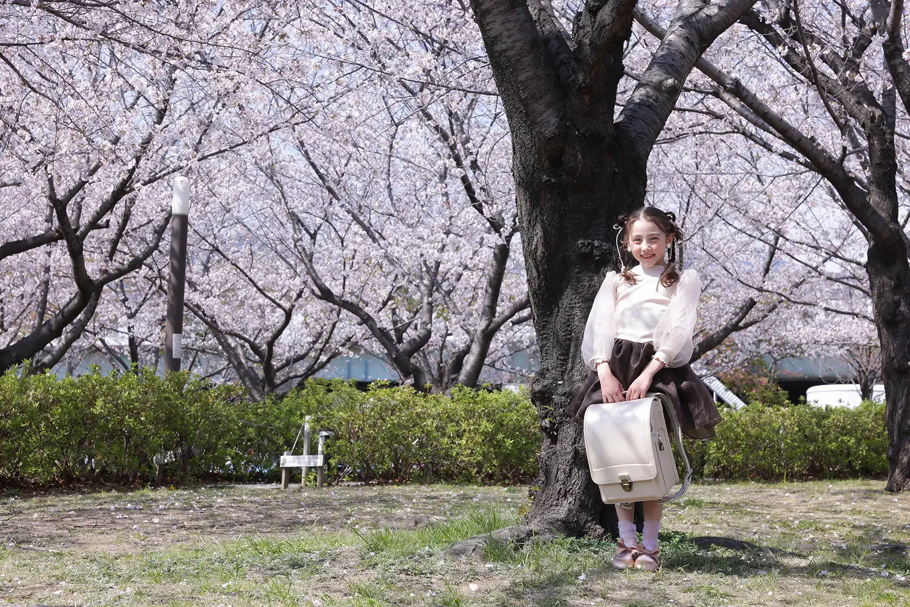 桜の木の下でランドセルを持って立つ女の子