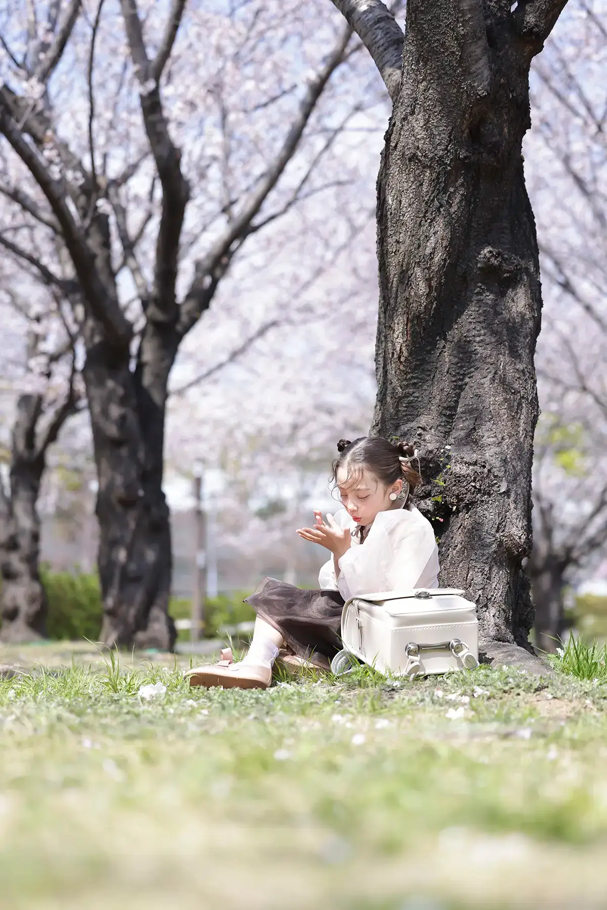 桜の木の下でランドセルと一緒に座る女の子