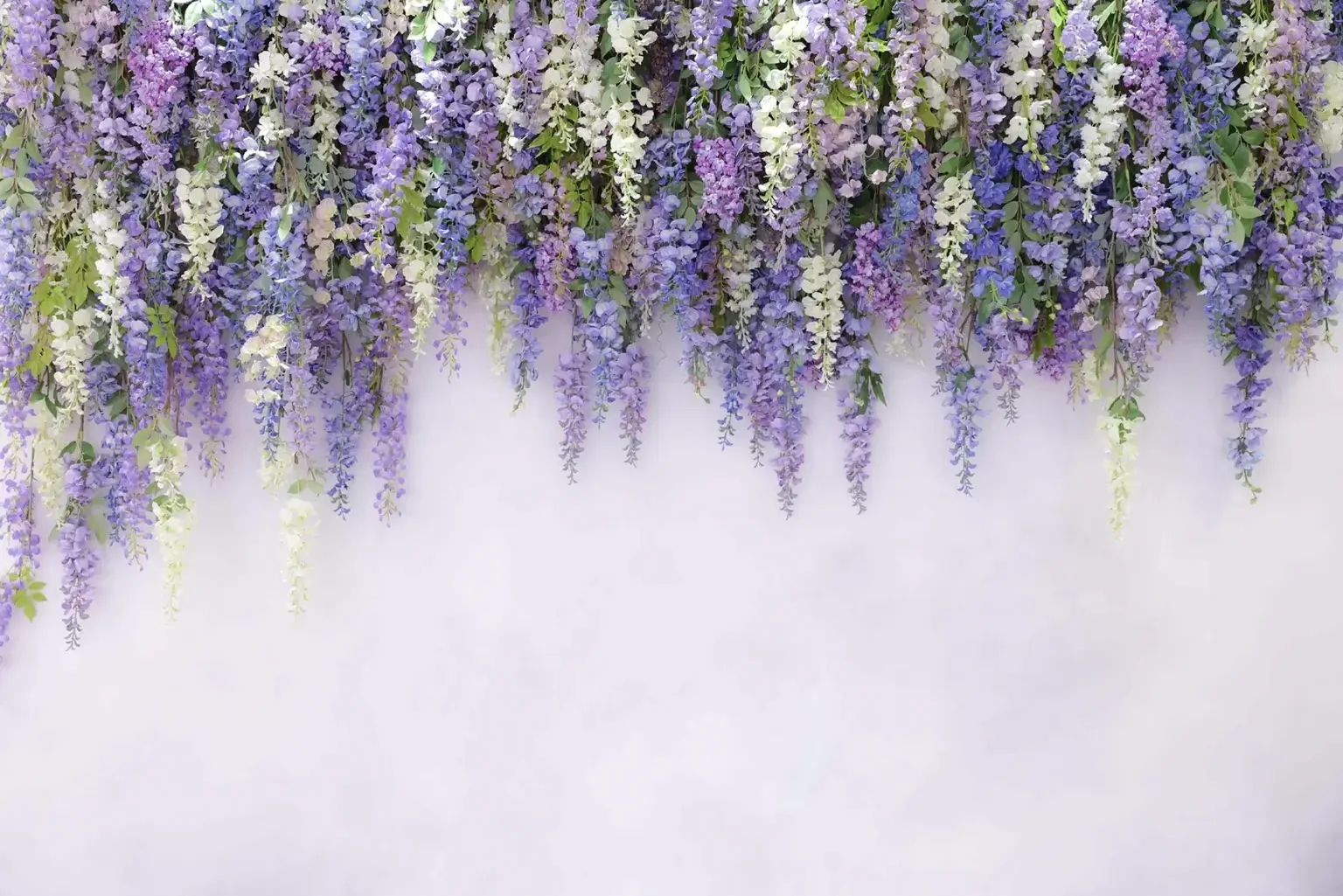 藤の花が壁一面に垂れ下がる華やかな花壁スタジオ背景