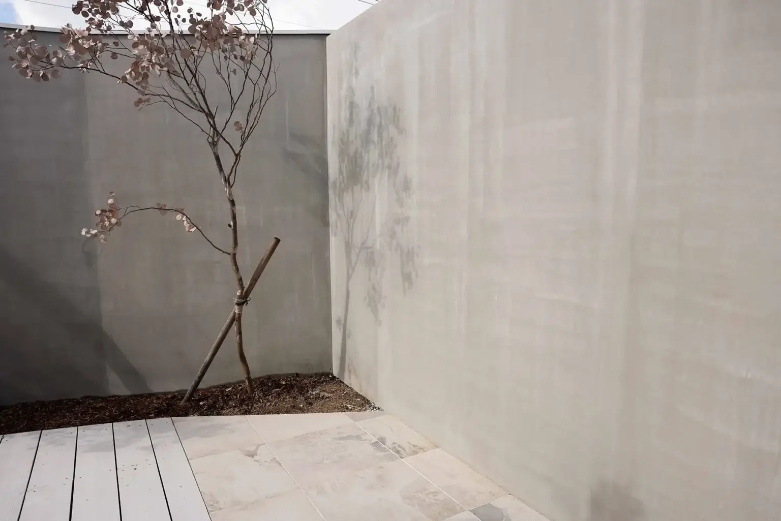 　1本の木とグレーの壁が引き立つミニマルで洗練された屋外空間