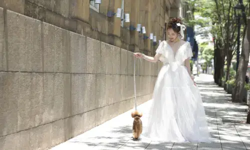 白いドレスで愛犬と散歩するロケーションフォト