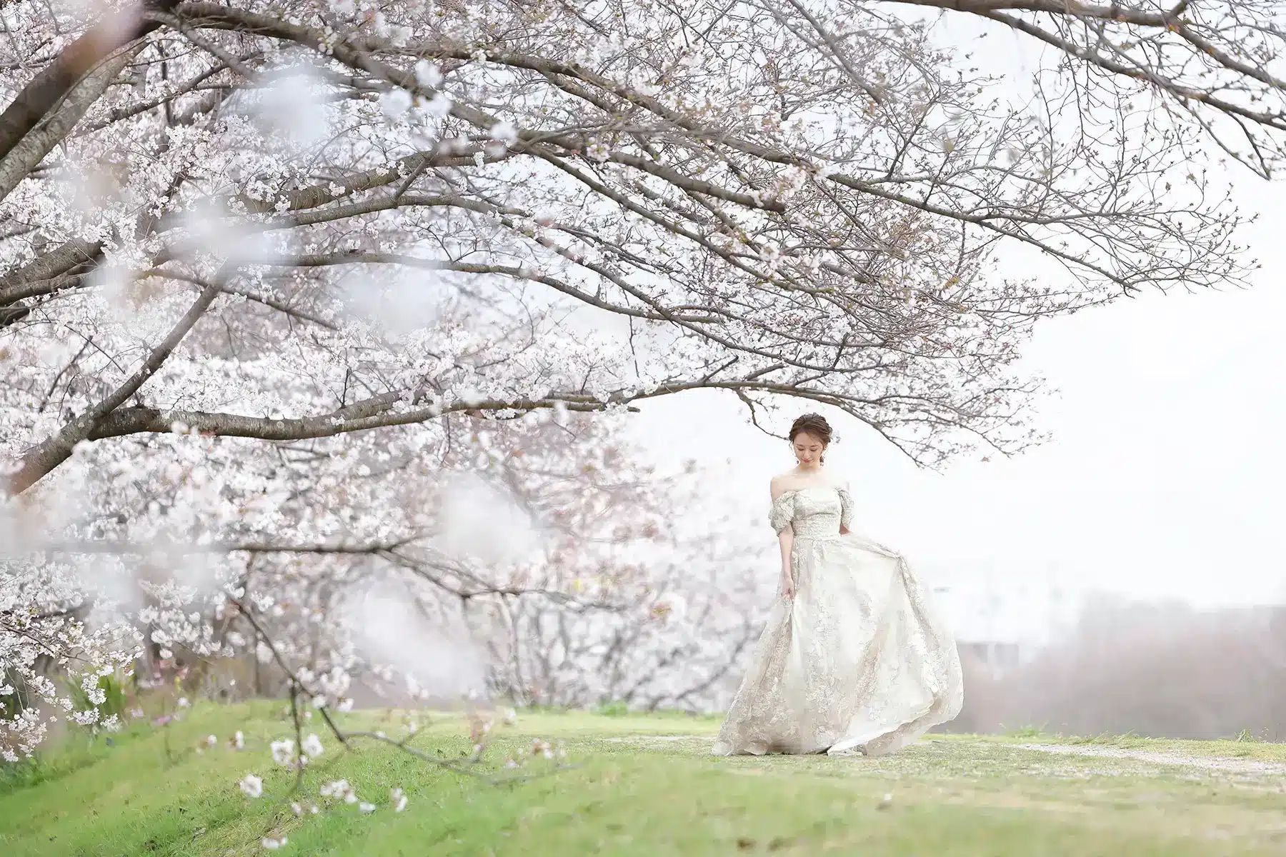 桜並木の下で佇むゴールドドレスの花嫁の春のウェディングフォト