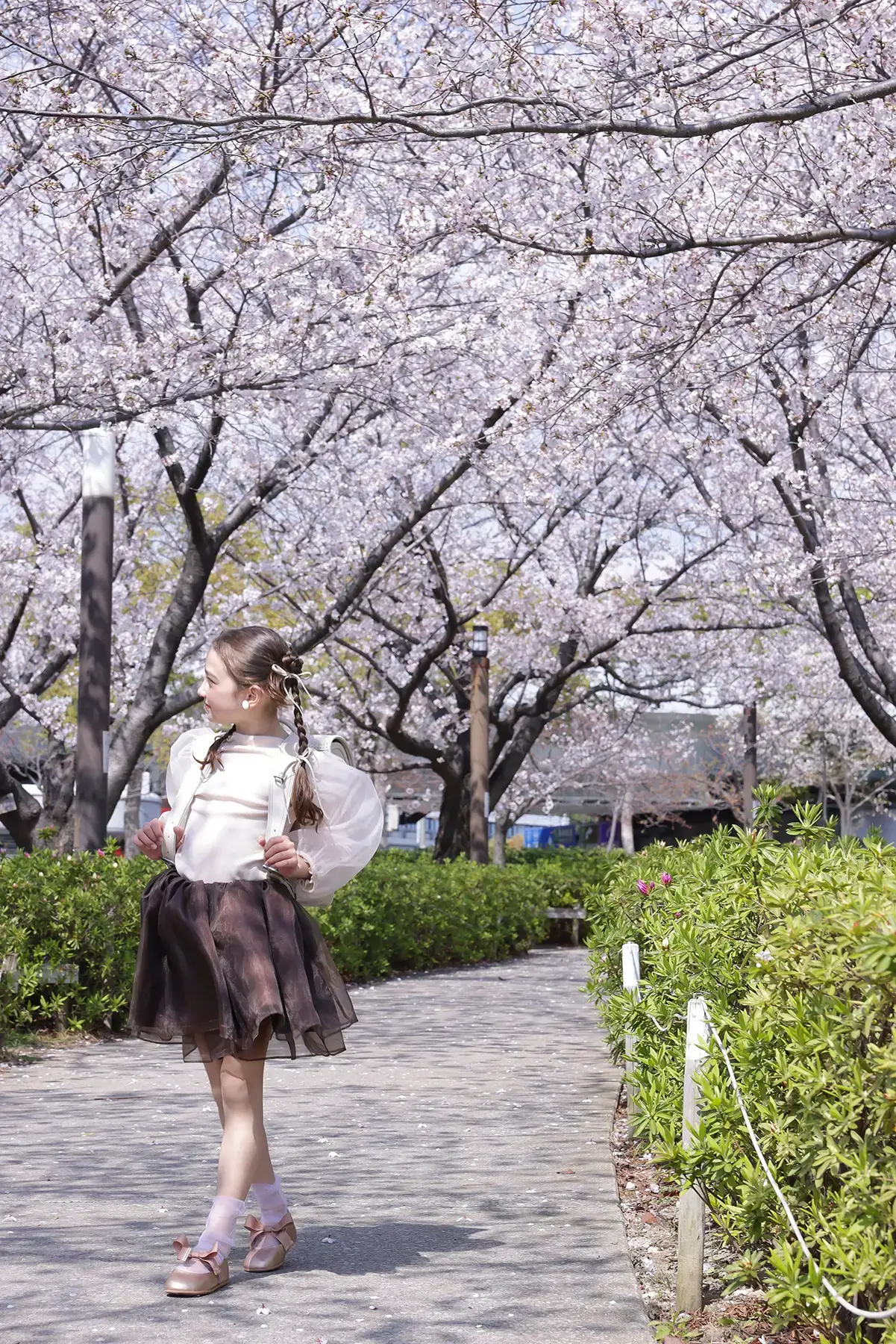 桜並木の道でランドセルを背負って歩く女の子